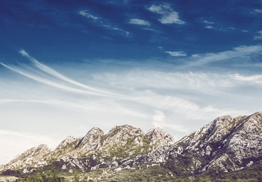 骚扰短信呼叫软件