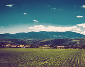 骚扰短信呼叫软件